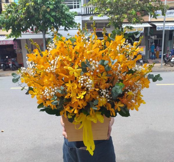 Shop Hoa Tươi Thị Trấn Phú Thịnh, Phú Ninh, Quảng Nam