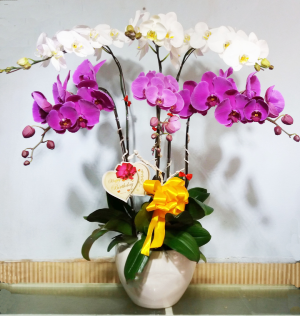 Shop Hoa Tươi Huyện Quế Sơn, Tỉnh Quảng Nam