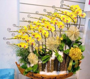 Shop Hoa Tươi Thị Trấn Phú Thịnh, Phú Ninh, Quảng Nam