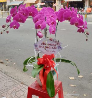 Shop Hoa Tươi Thị Trấn P Rao, Đông Giang, Quảng Nam