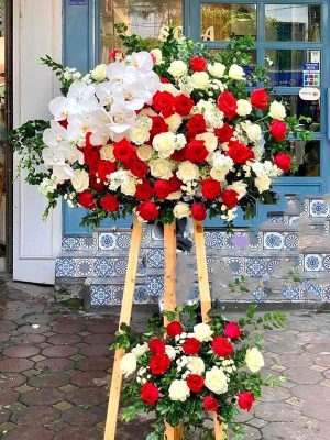 Shop Hoa Tươi Thị Trấn P Rao, Đông Giang, Quảng Nam